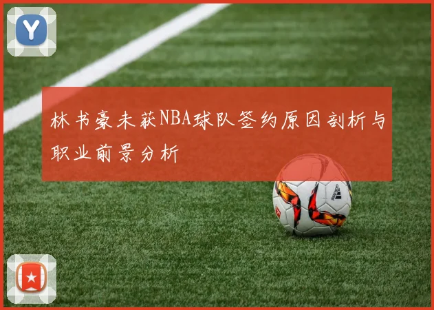 林书豪未获NBA球队签约原因剖析与职业前景分析